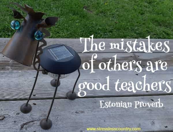 The mistakes of others are good teachers
