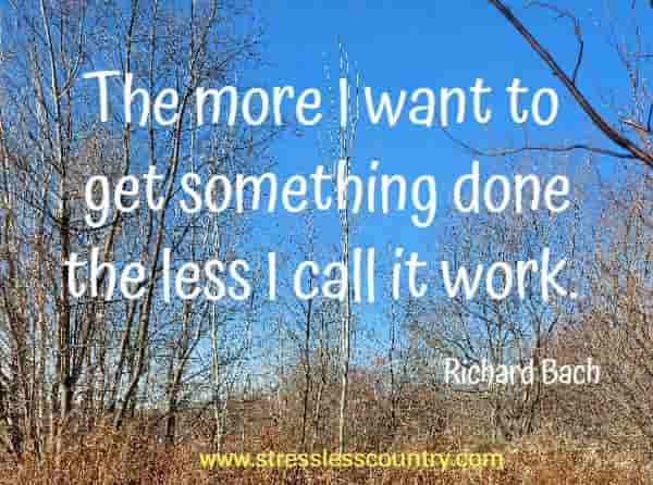 The more I want to get something done the less I call it work.