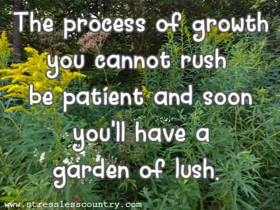 The process of growth you cannot rush be patient and soon you'll have a garden of lush.