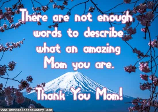 There are not enough words to describe  what an amazing Mom you are. Thank You Mom!