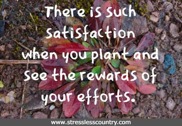 There is such satisfaction when you plant and see the rewards of your efforts.