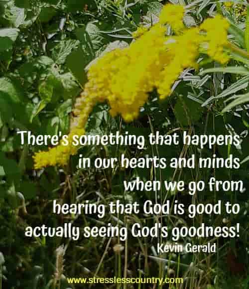 There's something that happens in our hearts and minds when we go from hearing that God is good to actually seeing God's goodness!
