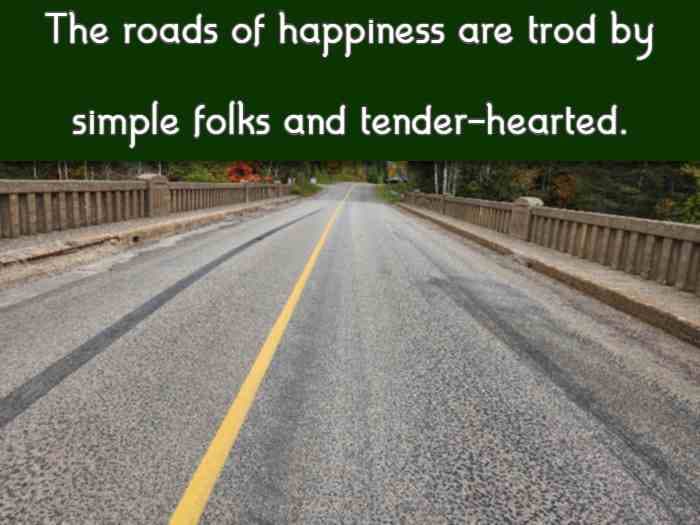 The roads of happiness are trod by simple folks and tender-hearted