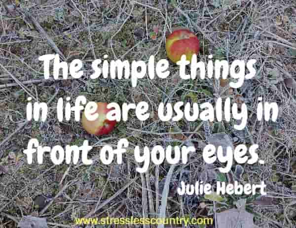 The simple things in life are usually in front of your eyes
