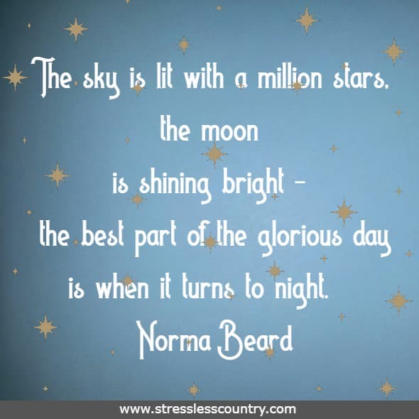 The sky is lit with a million stars, the moon is shining bright - the best part of the glorious day is when it turns to night.