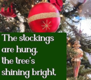 The stockings are hung, the tree’s shining bright