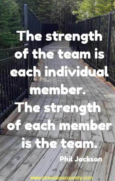 The strength of the team is each individual member. The strength of each member is the team.