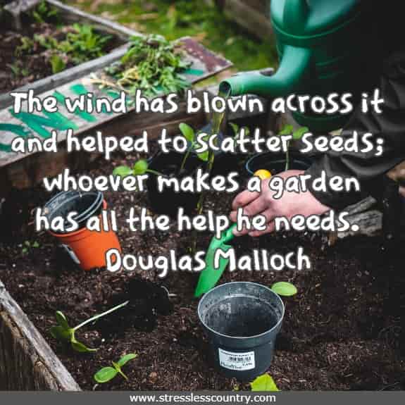 The wind has blown across it and helped to scatter seeds; whoever makes a garden has all the help he needs.