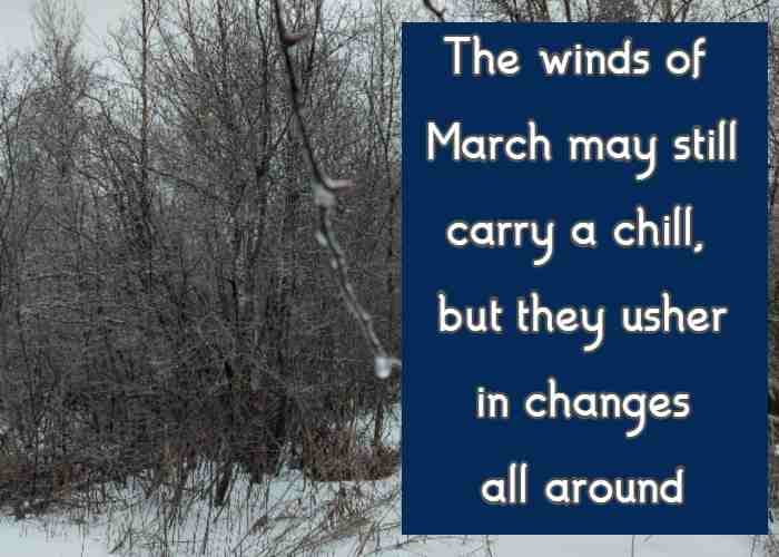 The winds of March may still carry a chill, but they usher in changes all around
