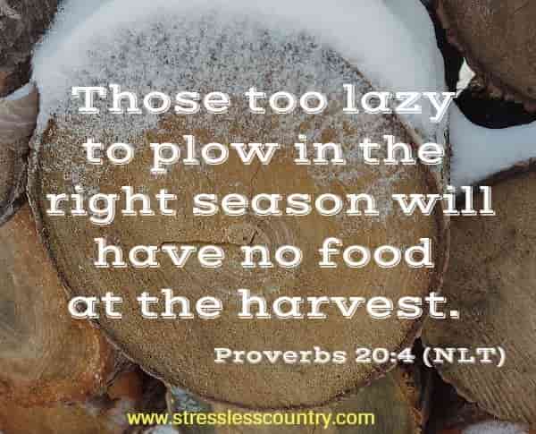 Those too lazy to plow in the right season will have no food at the harvest.