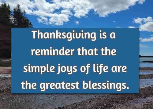 Thanksgiving is a reminder that the simple joys of life are the greatest blessings