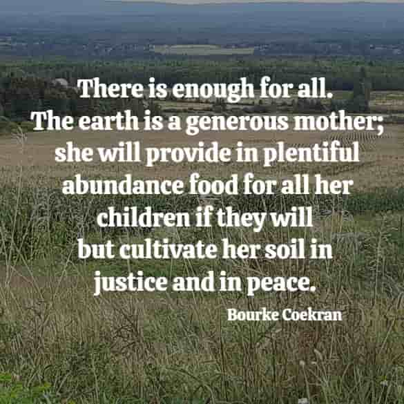 There is enough for all. The earth is a generous mother; she will provide in plentiful abundance food for all her children...