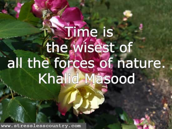 Time is the wisest of all the forces of nature.
