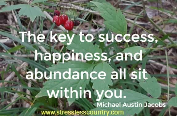 The key to success, happiness, and abundance all sit within you.