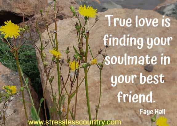 true love is finding your soulmate in your best friend