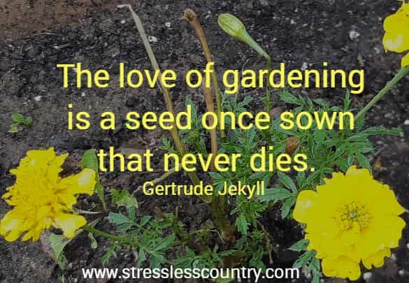 The love of gardening is a seed once sown that never dies. 
 Gertrude Jekyll