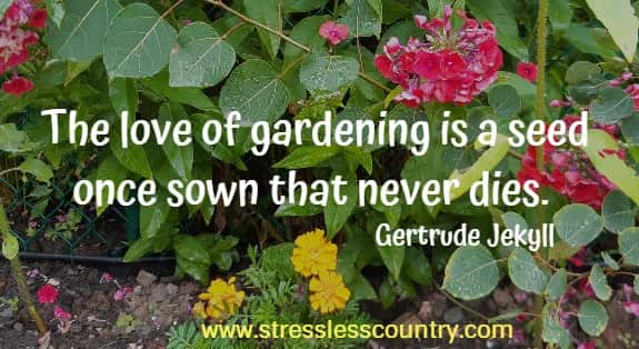the love of gardening is a seed once sown that never dies.