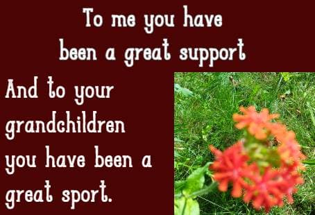 To me you have been a great support and to your grandchildren you have been a great sport.