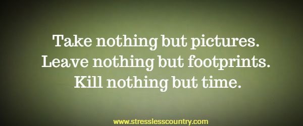 Take nothing but pictures. Leave nothing but footprints. Kill nothing but time.