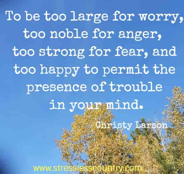 To be too large for worry, too noble for anger, too strong for fear, and too happy to permit the presence of trouble in your mind.