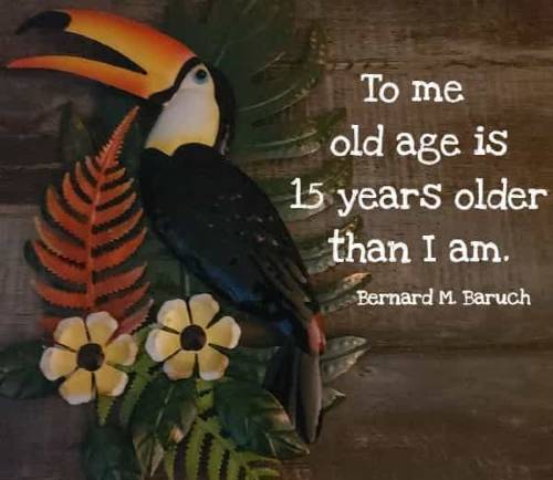 To me old age is 15 years older than I am.
