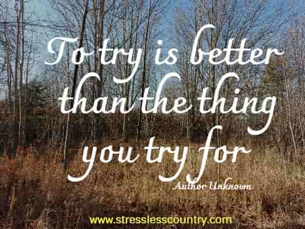To try is better than the thing you try for