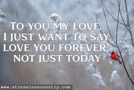 To you my love, I just want to say, love you forever, not just today.