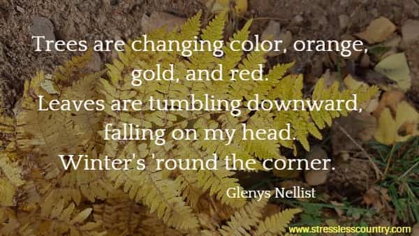 Trees are changing color, orange, gold, and red. Leaves are tumbling downward, falling on my head. Winter's 'round the corner.