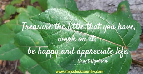 Treasure the little that you have, work on it, be happy and appreciate life.