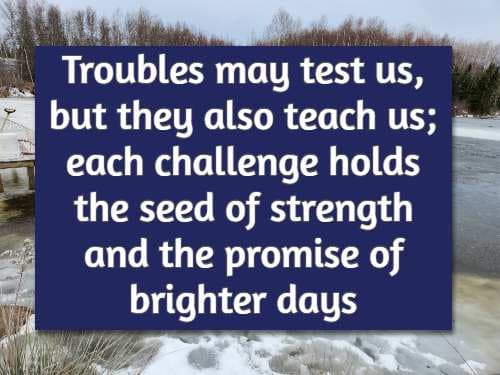 Troubles may test us, but they also teach us; each challenge holds the seed of strength and the promise of brighter days