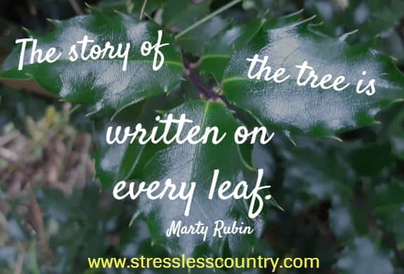 The story of the tree is written on every leaf.