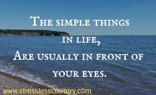 the simple things in life, are usually in front of your eyes.