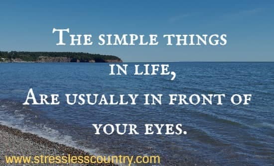 the simple things in life, are usually in front of your eyes.