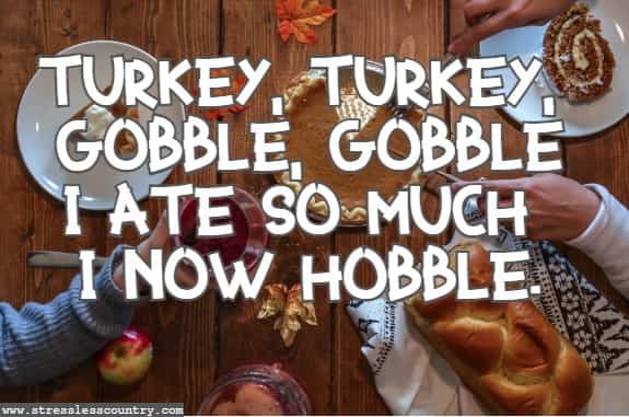 Turkey, turkey, gobble, gobble I ate so much I now hobble.