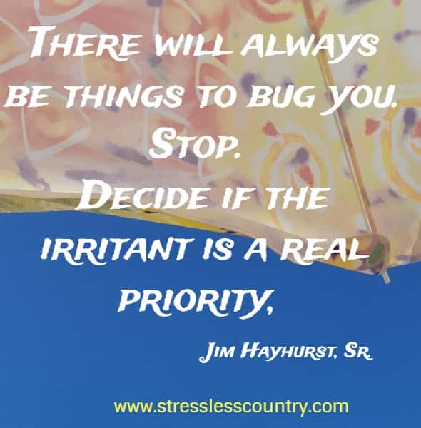 There will always be things to bug you. Stop. Decide if the irritant is a real priority