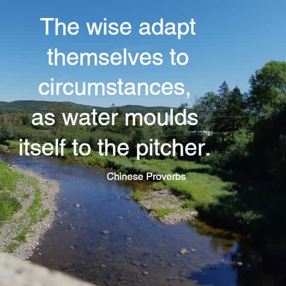 The wise adapt themselves to circumstances, as water moulds itself to the pitcher.