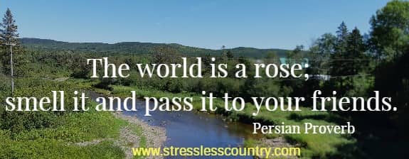 The world is a rose; smell it and pass it to your friends. 
   Persian Proverb