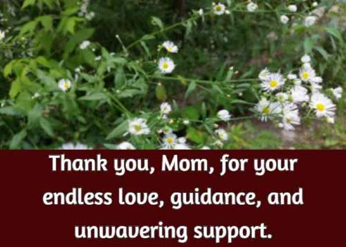Thank you, Mom, for your endless love, guidance, and unwavering support.