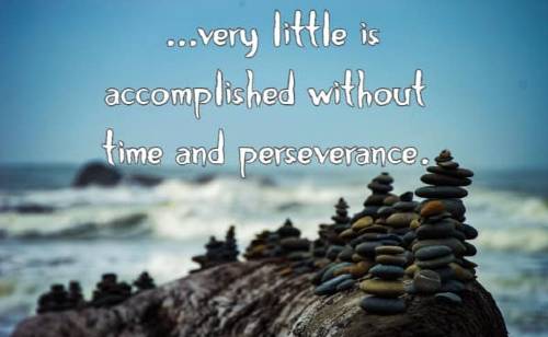very little is accomplished without time and perseverance