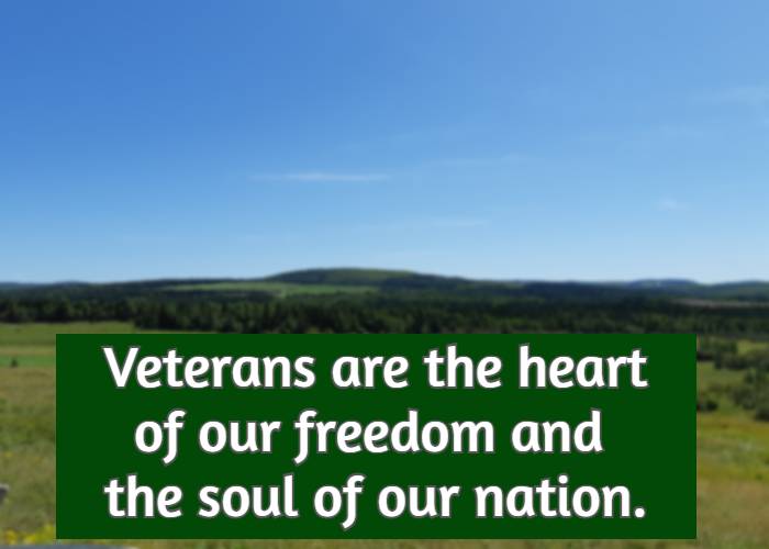 Veterans are the heart of our freedom and the soul of our nation.