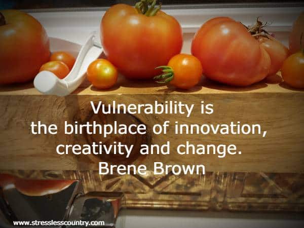 Vulnerability is the birthplace of innovation, creativity and change.