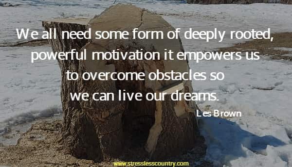 We all need some form of deeply rooted, powerful motivation it empowers us to overcome obstacles so we can live our dreams.