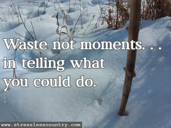 Waste not moments . . .in telling what you could do.