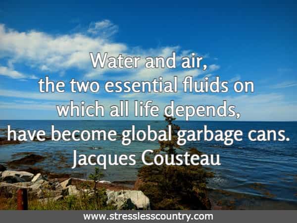 Water and air, the two essential fluids on which all life depends, have become global garbage cans