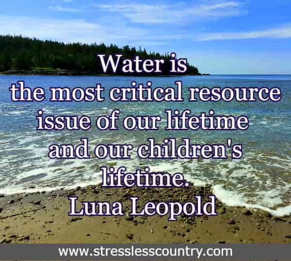 Water is the most critical resource issue of our lifetime and our children's lifetime
