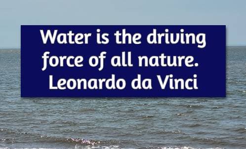 Water is the driving force of all nature.  Leonardo da Vinci