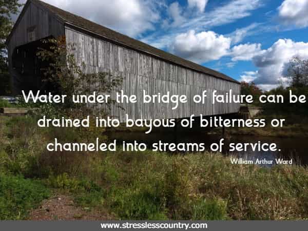 Water under the bridge of failure can be drained into bayous of bitterness or channeled into streams of service. William Arthur Ward