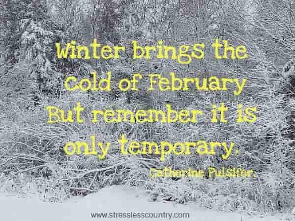 Winter brings the cold of February But remember it is only temporary. 