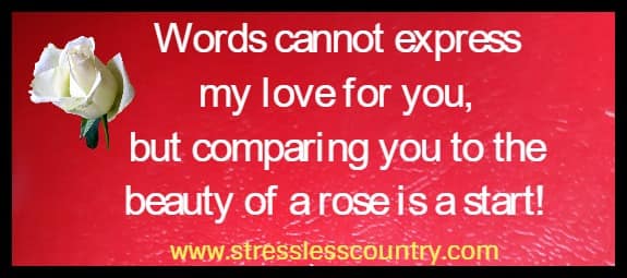 Words cannot express my love for you, but comparing you to the beauty of a rose is a start!