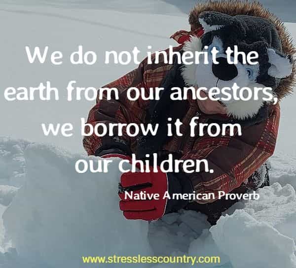 We do not inherit the earth from our ancestors, we borrow it from our children.